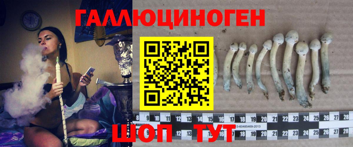 Галлюциногенные грибы ЛСД  Вход с VPN  Лениногорск 