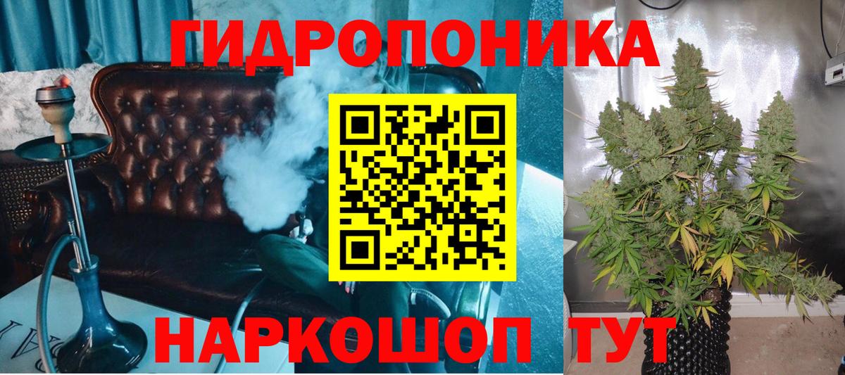 Конопля гибрид Лениногорск